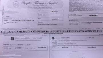 falso_bollettino_cciaa-2